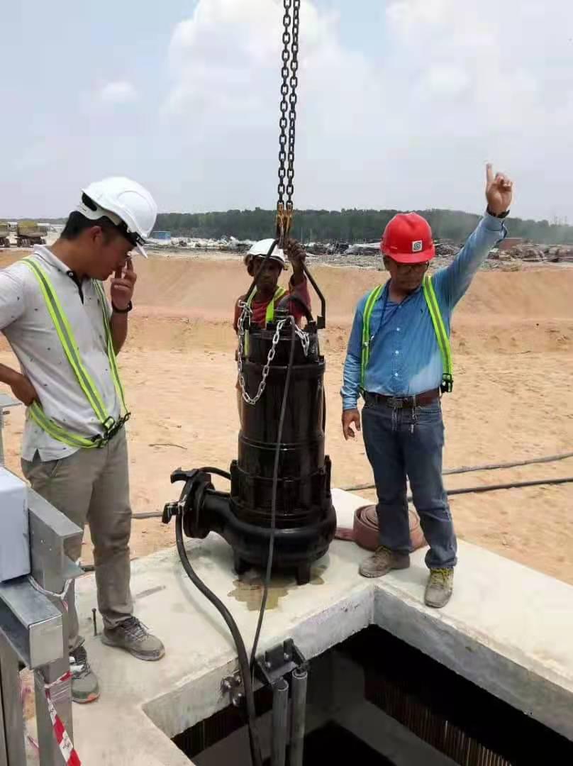 WQ Submersible Sewage Pumps